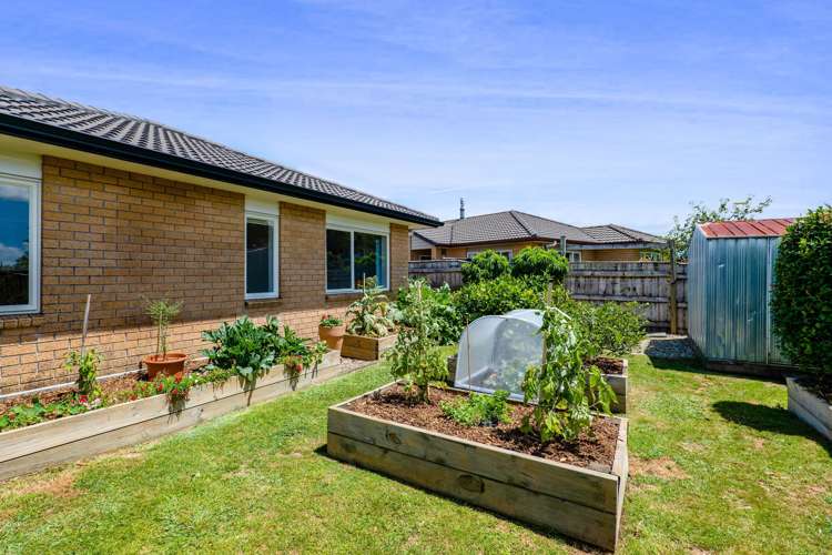 6b Faber Place Inglewood_21