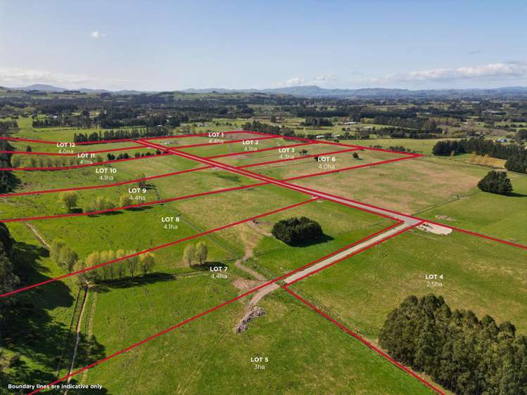 Lots 2 - 12/75 Parkers Road West Taratahi_9