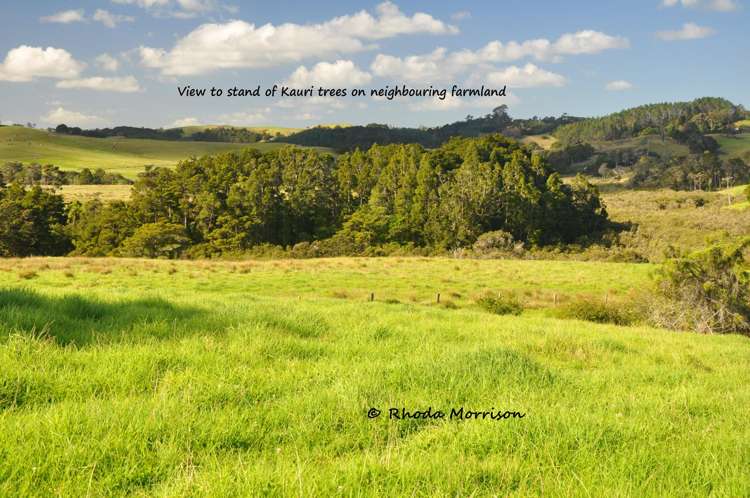 113 Te Rawhiti Road Matakohe_48