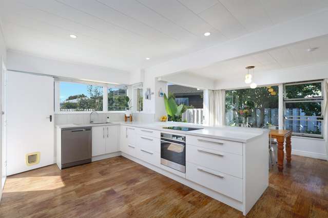 38 Green Street Tahunanui_4