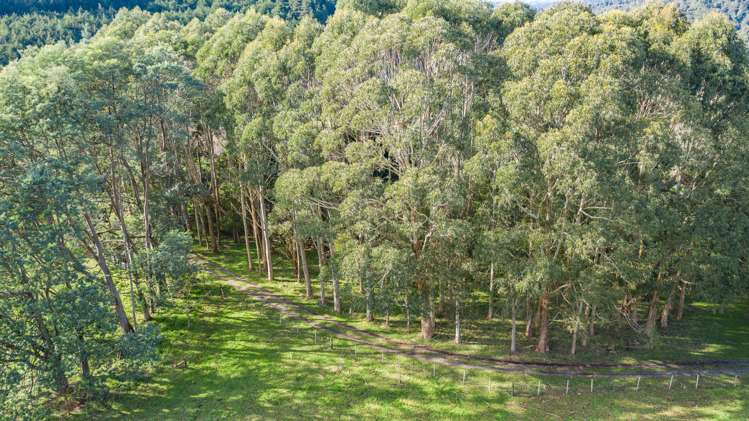 258a Gladstone Road Levin_3