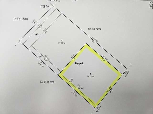 1005a Mona Street Akina_2