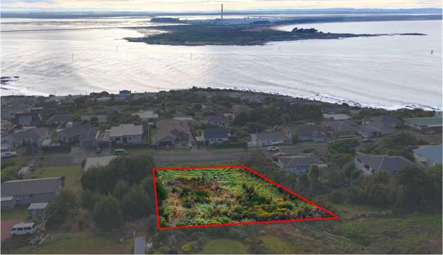 36 Pilcher Ave Bluff_2