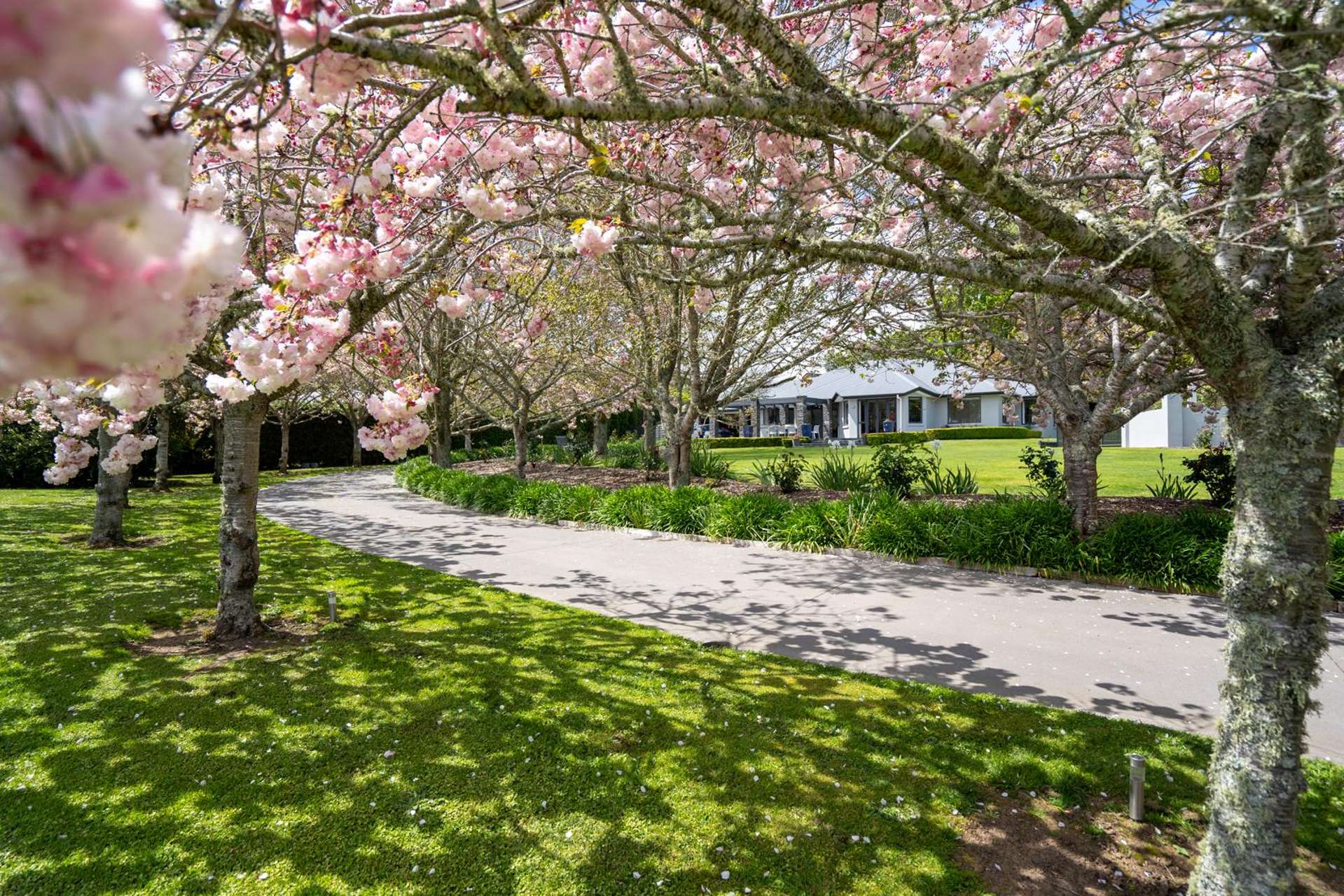 80 Maungakawa Road Cambridge_0