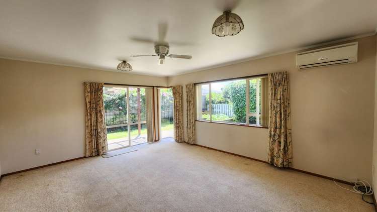 B/73 Boucher Avenue Te Puke_2