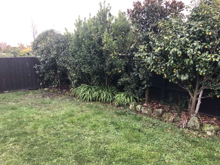 82 Aikmans Road Merivale_15