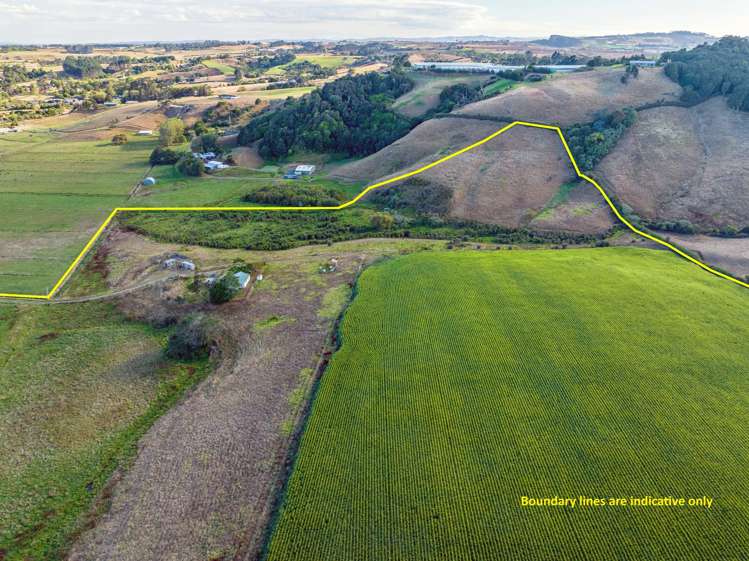 229 Wily Road Puni_11