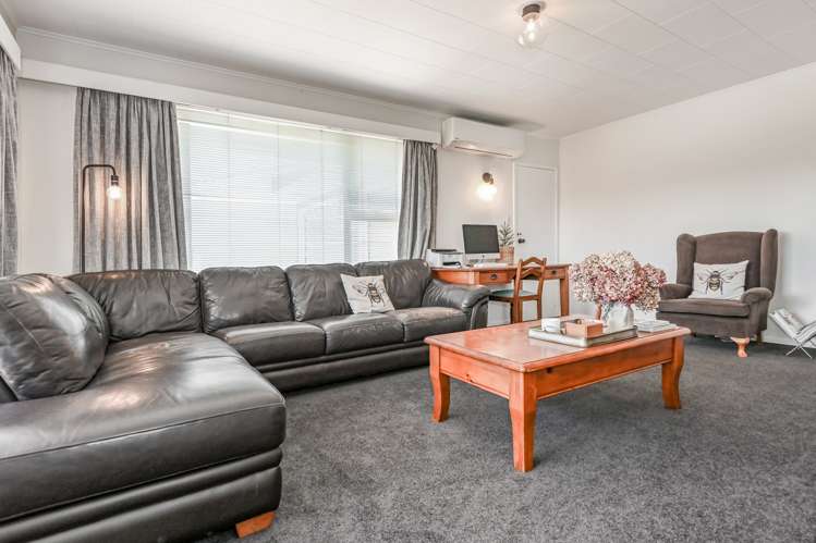 107 Princes Street Parkvale_5