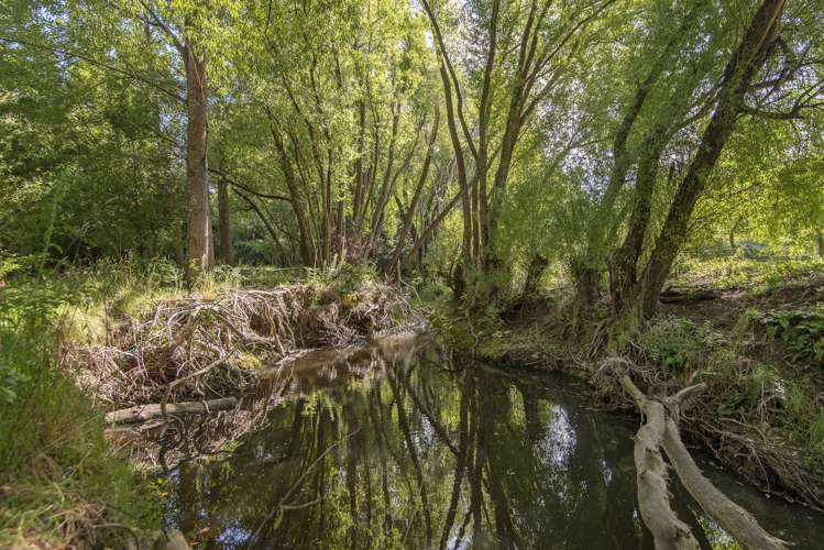 57 Station Road Loburn_14