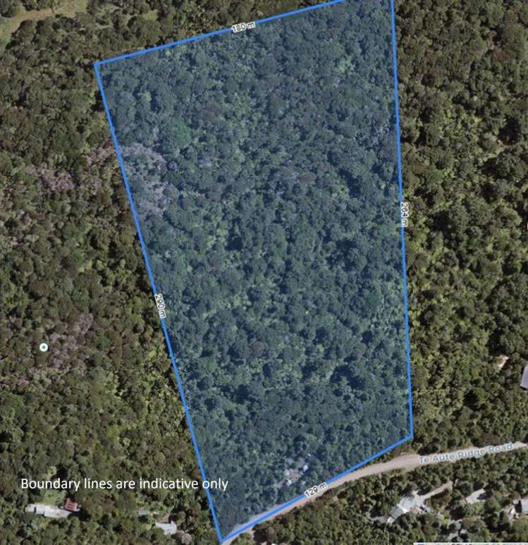 15 Te Aute Ridge Road Waitakere_16