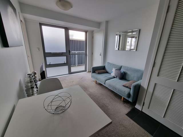 5e1/8 White Street Auckland Central_3