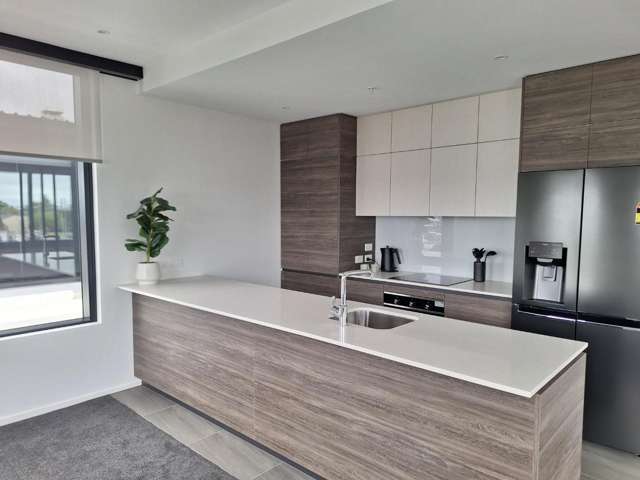 505/4-8 Rose Road Ponsonby_2