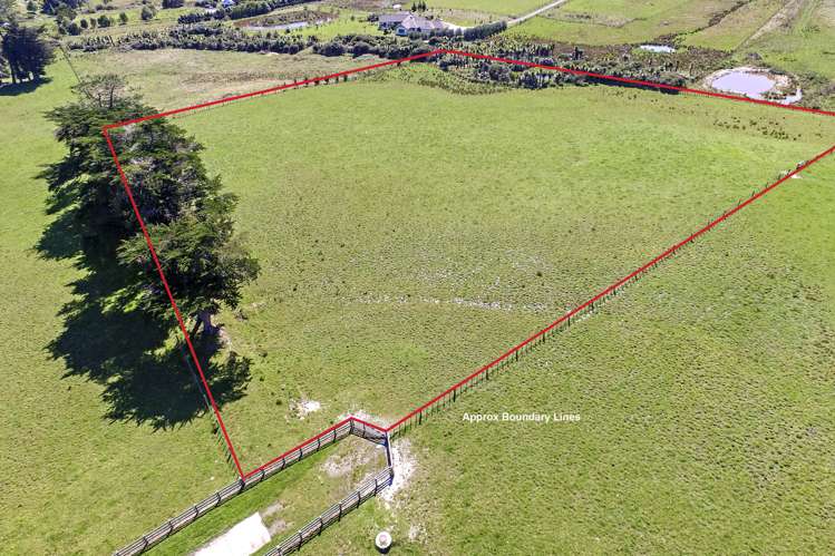 10 Bobs Way Dairy Flat_3