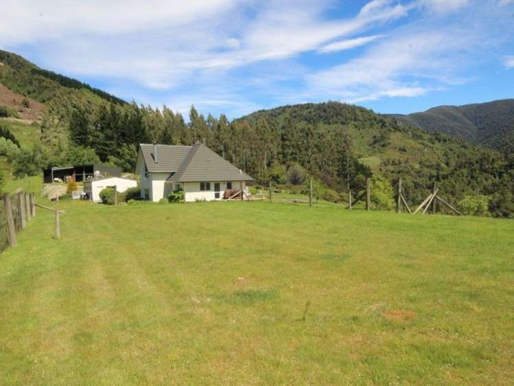 250 Glentui Bush Road Glentui_7