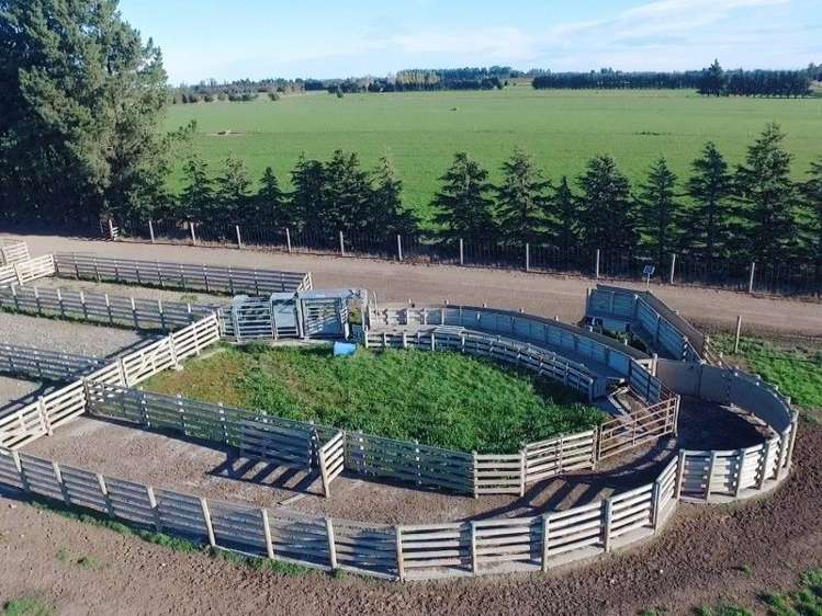 1347 Rakaia Highway Chertsey_11