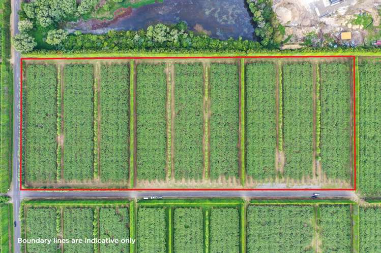 15 Tangiteroria Lane Pauanui_2