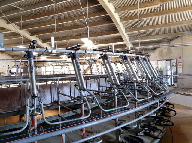 480 Island Cliff-Duntroon Road Island Cliff_2