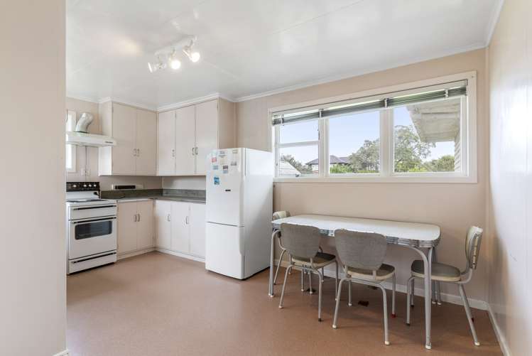 31 Arran Street Avondale_13