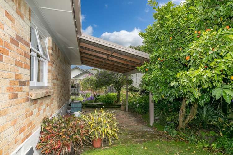 12 Scott Avenue Hamilton East_24