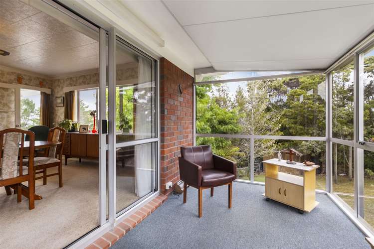 206 Albany Heights Road Albany Heights_21