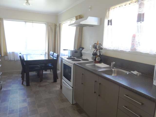 2 Goldie Street Pukehangi_2