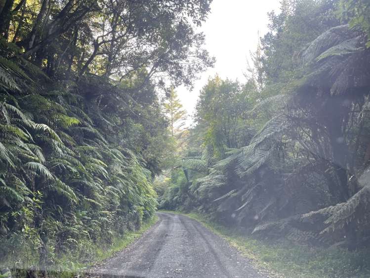 3715 State Highway 3 Awakino_16