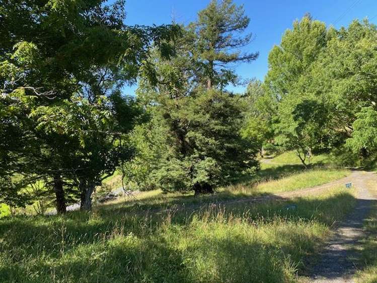 1266 Te Pahu Road Karamu_51