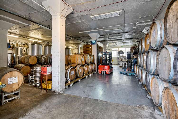 7 Marion Street Te Aro_16