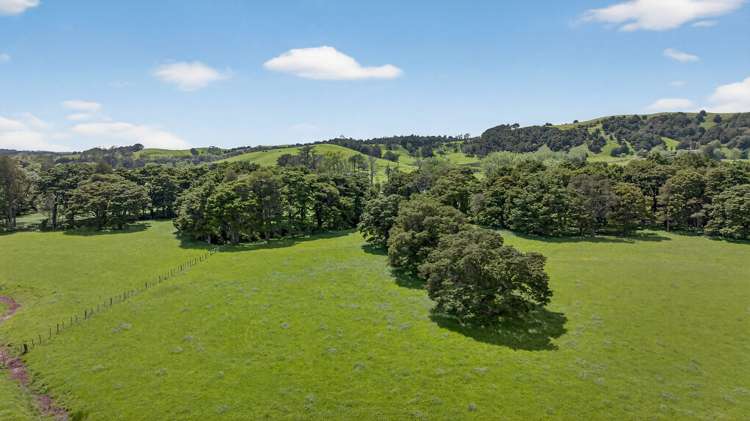 54 Edgerley Road Kaipara Flats_9
