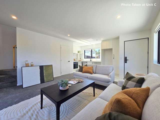 117C Edinburgh Street Spreydon_2