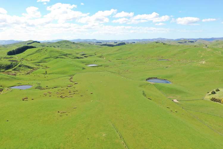 275 Akaroa Road Pongaroa_13