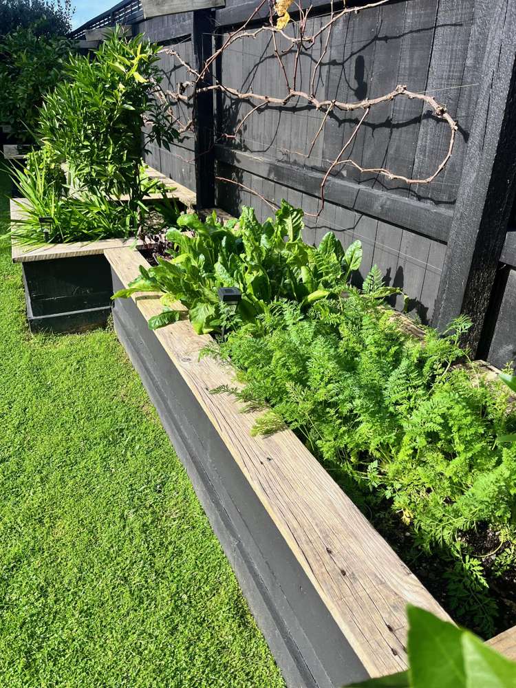 209 Millwater Parkway Silverdale_36