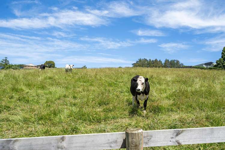 Lots 2 & 3/56 Smithville Road Te Kamo_20