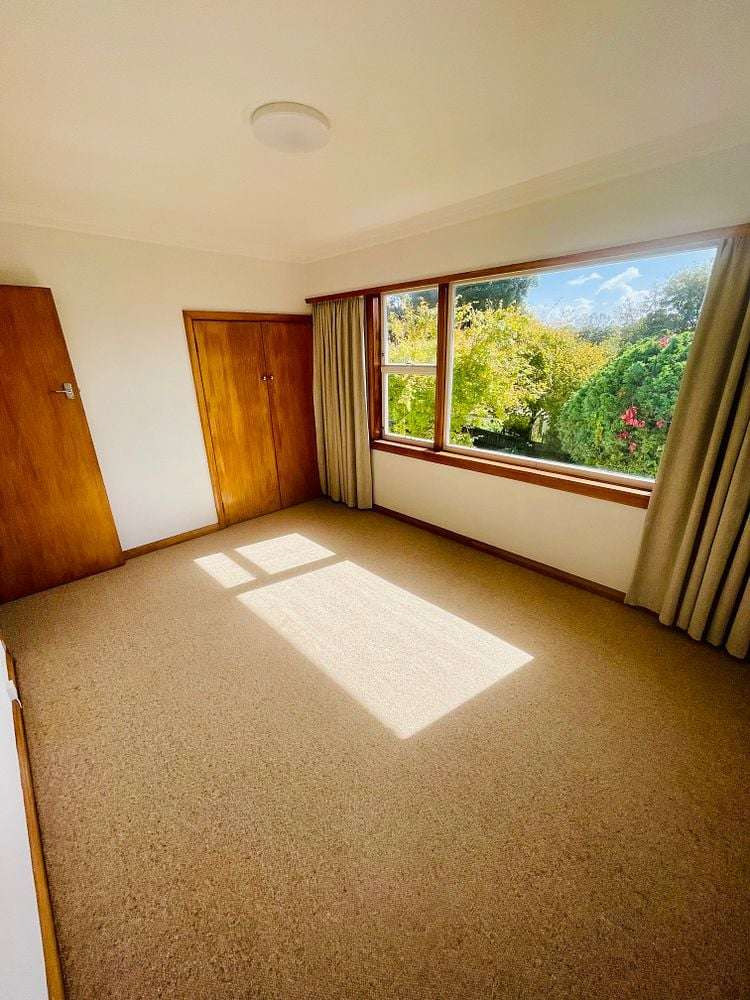 88 Carrington Street Lower Vogeltown_16