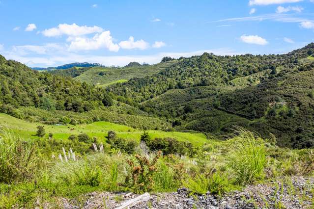 Dream Big: Puhoi Hilltop Haven