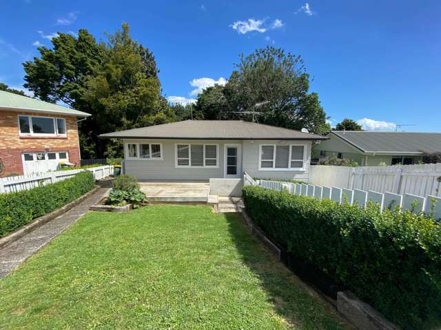 20 Matatea Avenue Pukekohe_1