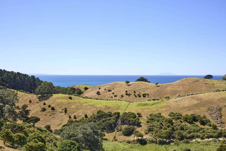 7 Tamihana Road Waiheke Island_16