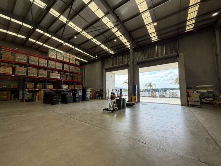 54 Apollo Drive Albany_7