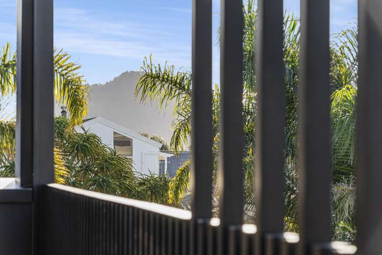 56b Campbell Road Mount Maunganui_24