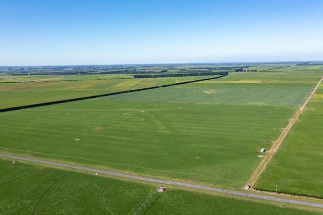 Morgans Road Hororata_1