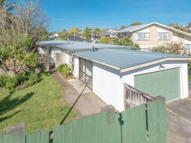 13 Sunnyhills Avenue Glenview_4