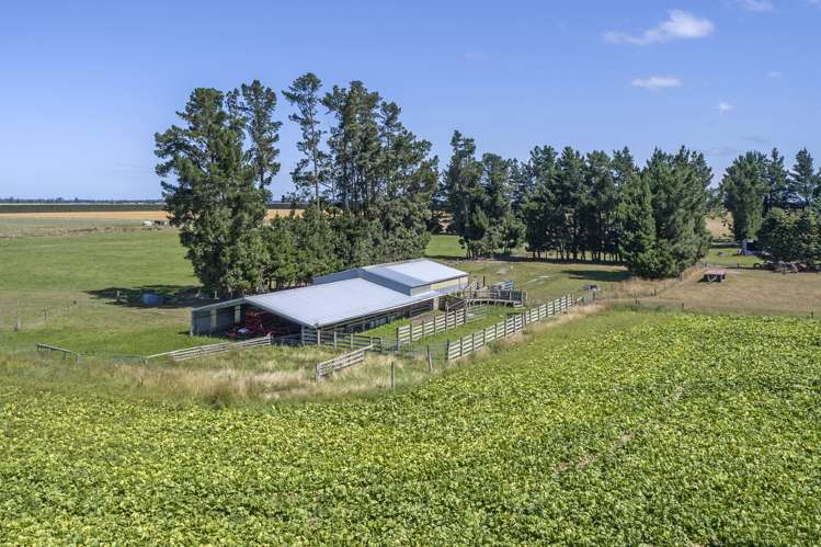 193 Coplands Road Chertsey_16