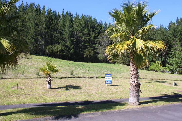 37 Pinehurst Drive Pauanui_6