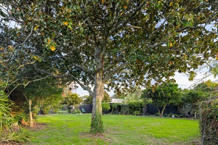 85 East Street Claudelands_37