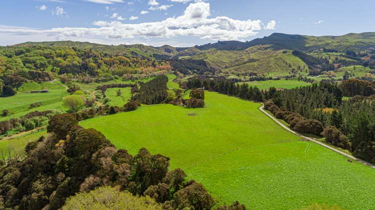 792 Clifton Grove Road Gladstone_13