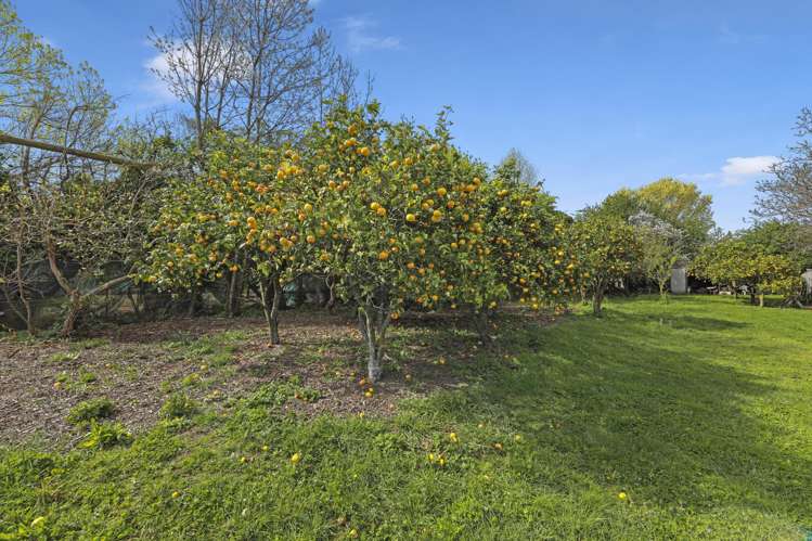 12 Hammerichs Road Rapaura_10