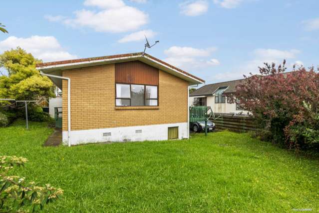 553 Hillsborough Road Mount Roskill_4