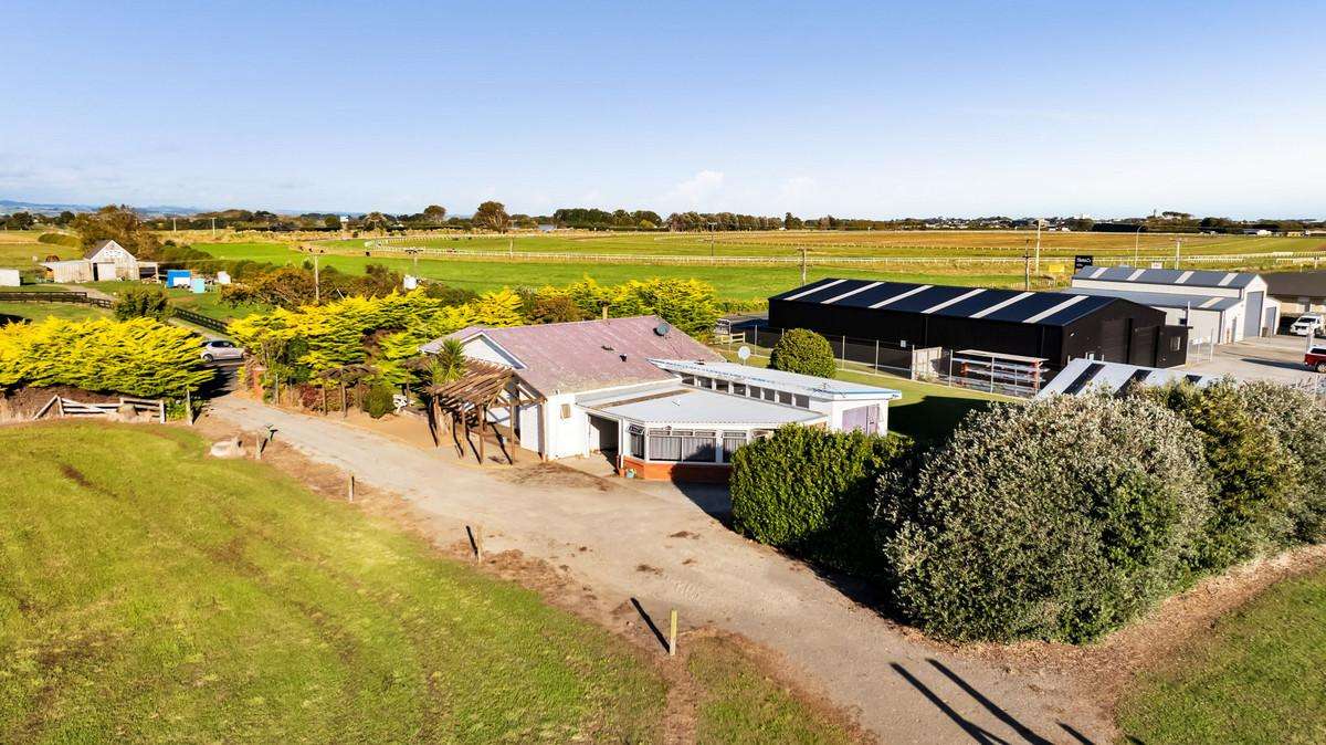 331 Waihi Road_5