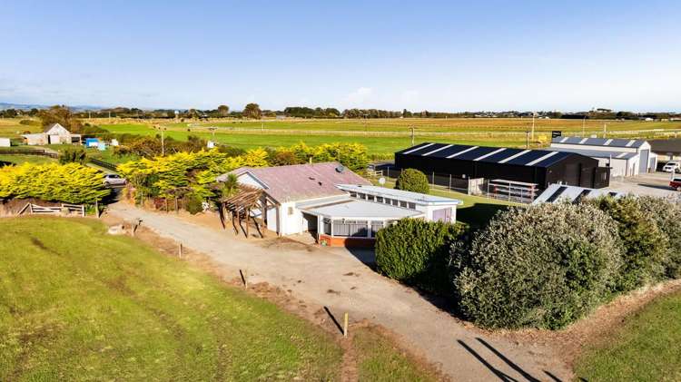 331 Waihi Road Hawera_9