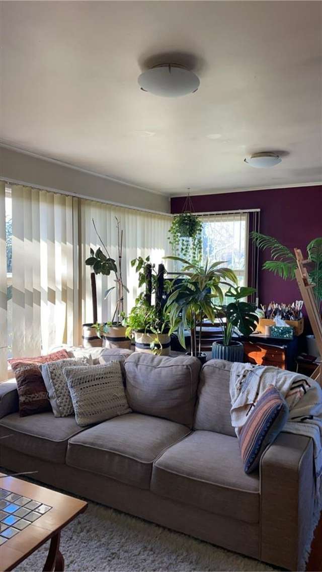 97 Chichester Drive 10938_1